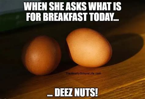 30 Funniest Deez Nuts Memes [Updated Jan 2023]